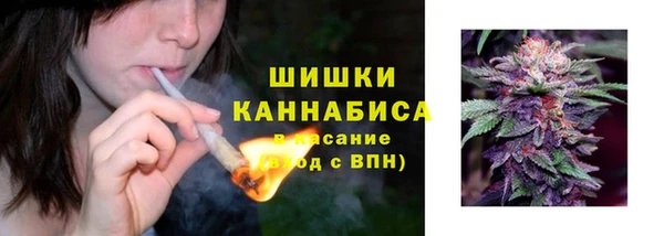 стаф Аркадак