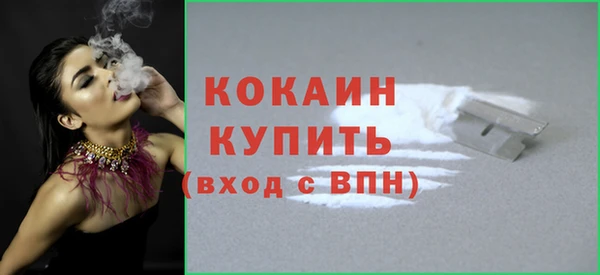 стаф Аркадак