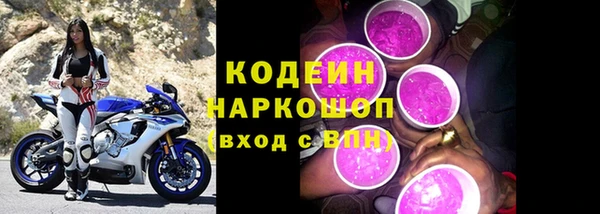 прущие грибы Армянск