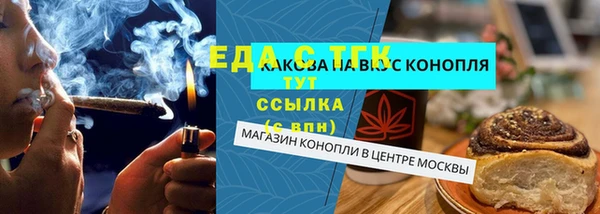 стаф Аркадак