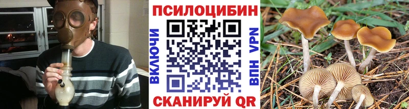 Галлюциногенные грибы прущие грибы  наркотики  Голицыно 